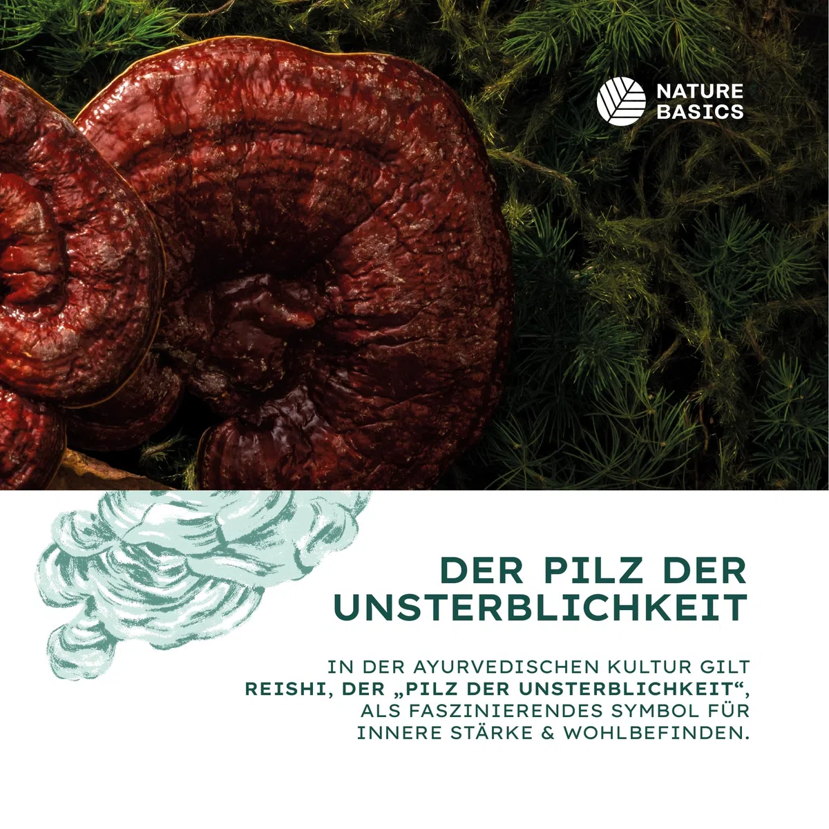 Bio Reishi - 120 Kapseln hochdosiert / 1500 mg hochwertiges Bio Reishi Extrakt mit 600 mg Polysacchariden pro Tagesdosis/Vegan, Zertifiziert & Nachhaltig im Glas