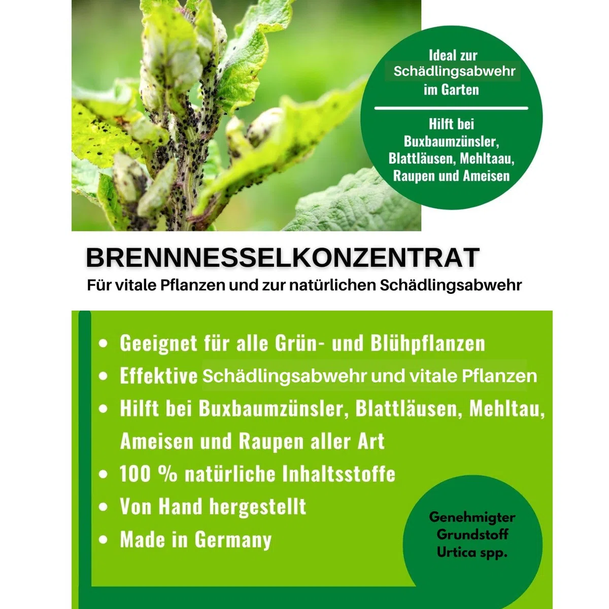 Natürliche Brennnesseljauche, Brennnesselsud 5 Liter, Grundstoff Urtica, handgemacht, für vitale Pflanzen und zur Schädlingsabwehr, 100% natürlich