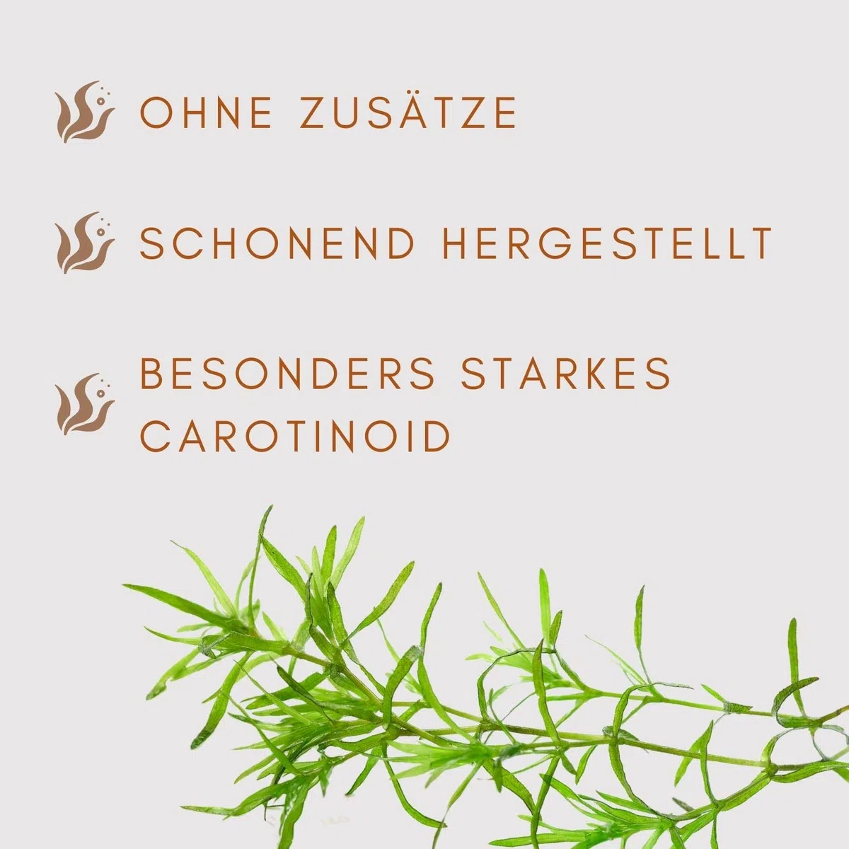 VitalAstin Astaxanthin 600 Kapseln I Das Original - Ivarssons VitalAstin mit 4 mg natürlichem Astaxanthin