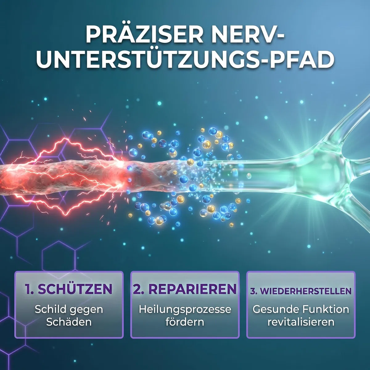 Nerve Support Supplement - Alpha-Liponsäure (Alpha Lipoic Acid) 650mg | Hochdosiert zur Unterstützung Nervensystem, Fortschrittliche Formel für Komfort an Händen, Füßen und Zehen, 120 Kapseln