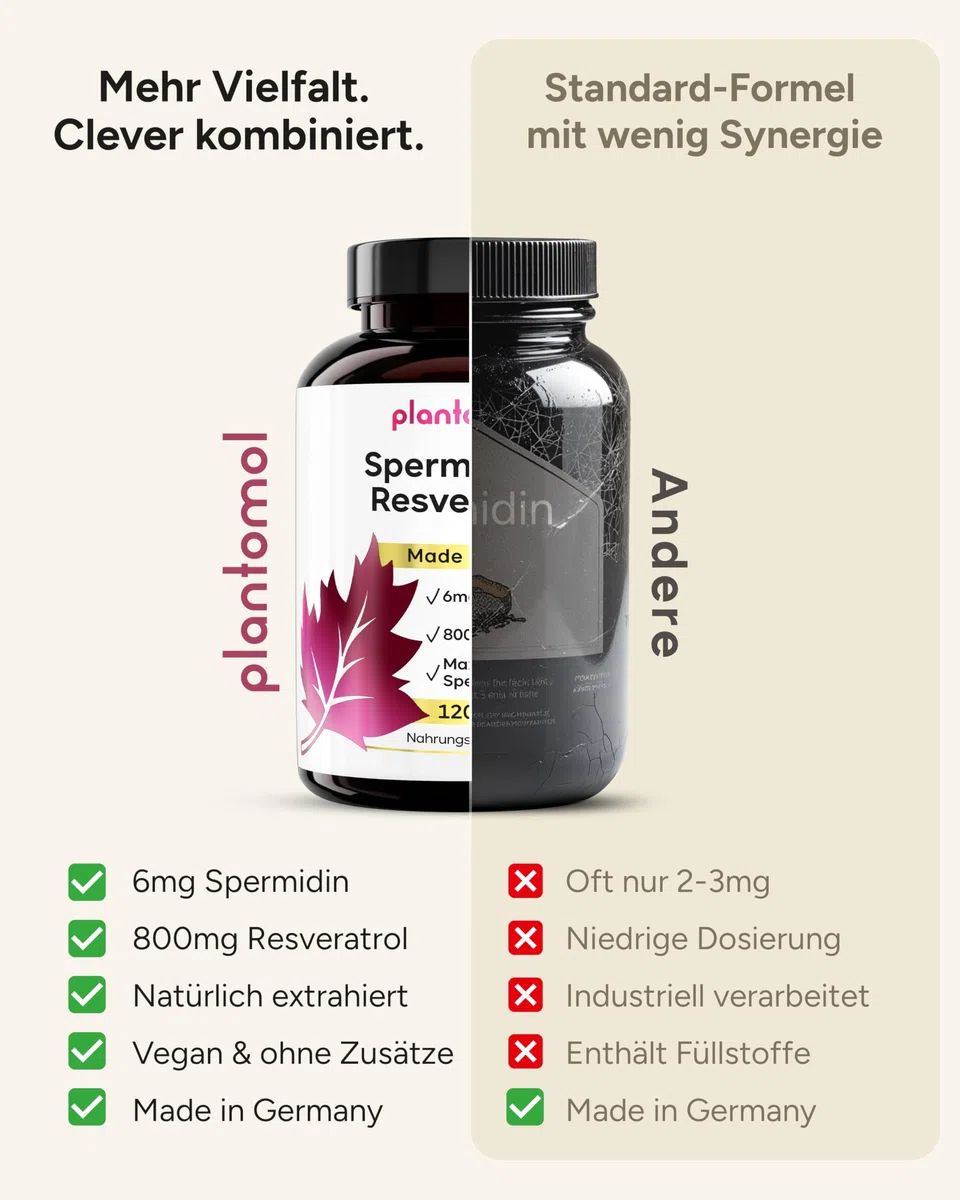 120 Spermidin Kapseln hochdosiert - Spermidin 6mg & 800mg Trans Resveratrol hochdosiert - einzigartige Kombination - 2 Monatsvorrat