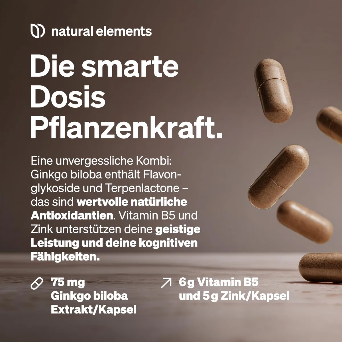 natural elements Ginkgo biloba – optimal dosiert mit 3750mg pro Kapsel (50:1 Extrakt) – 365 Kapseln – mit Vitamin B5 & Zink – vegan, ohne unnötige Zusätze – in Deutschland produziert & laborgeprüft