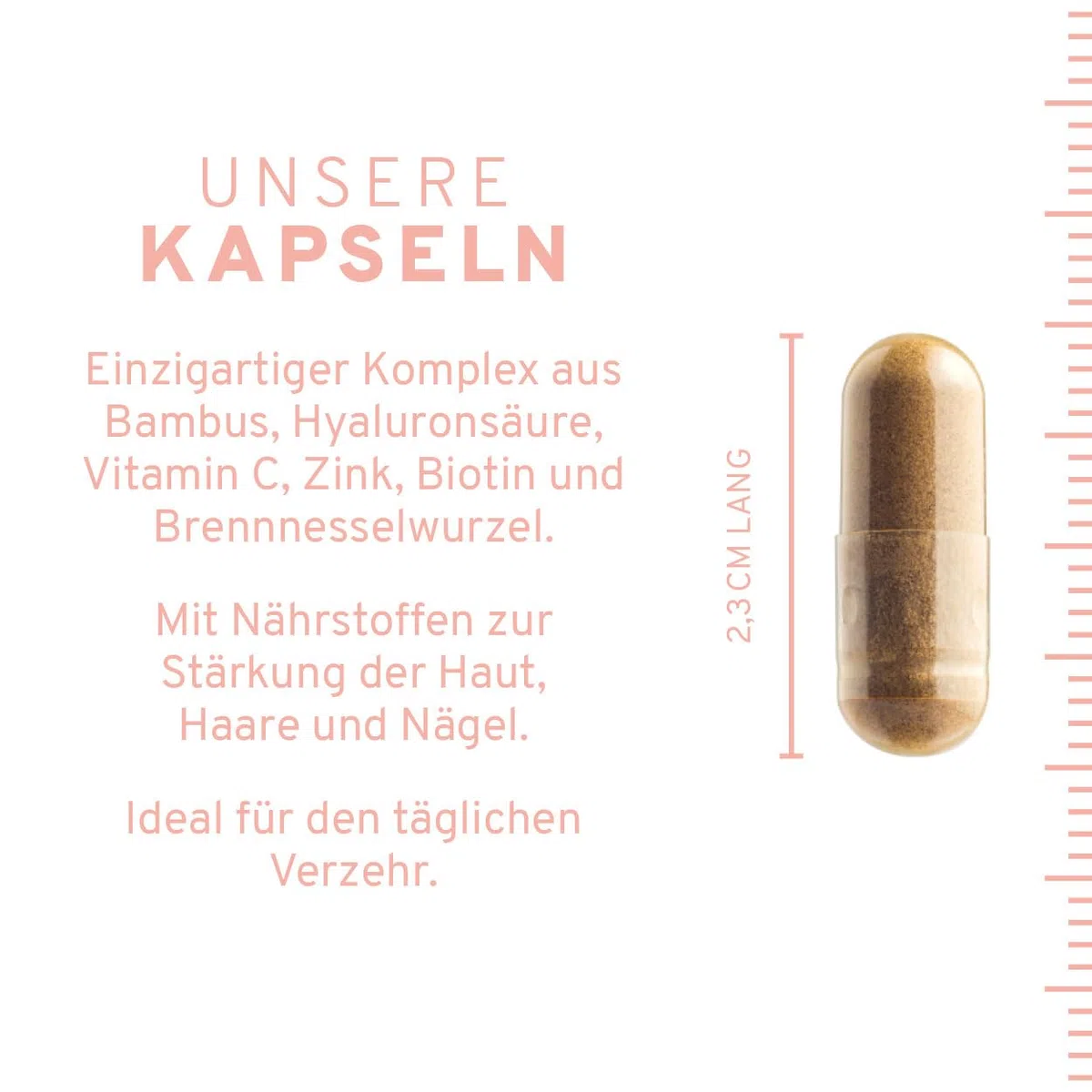 Natürlicher Haut, Haare & Nägel Komplex mit Haar-Vitamin Biotin, Zink (Zinkbisglycinat), Hyaluronsäure (500-700 kDa), Bambus (Silizium), Brennesselsamen, Hagebutte (VitaminC) + Vitamin E. 60 Kapseln.