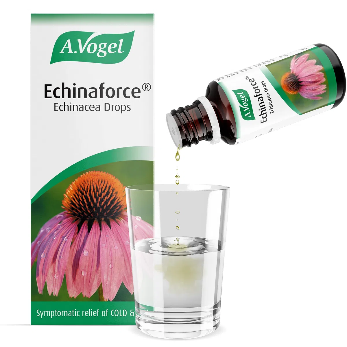 BIOFORCE Echinaforce Tincture, 50 ml