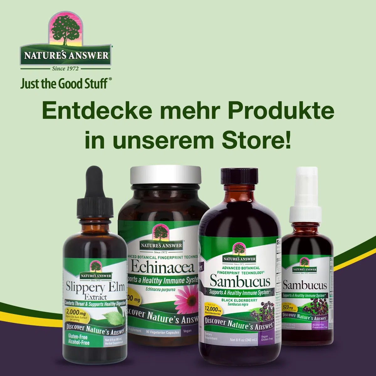 Nature's Answer, Gotu Kola, 90 vegane Kapseln, 950mg Gotu Kola je Dosis, Glutenfrei, Sojafrei, GMO frei, Geschmacksneutral