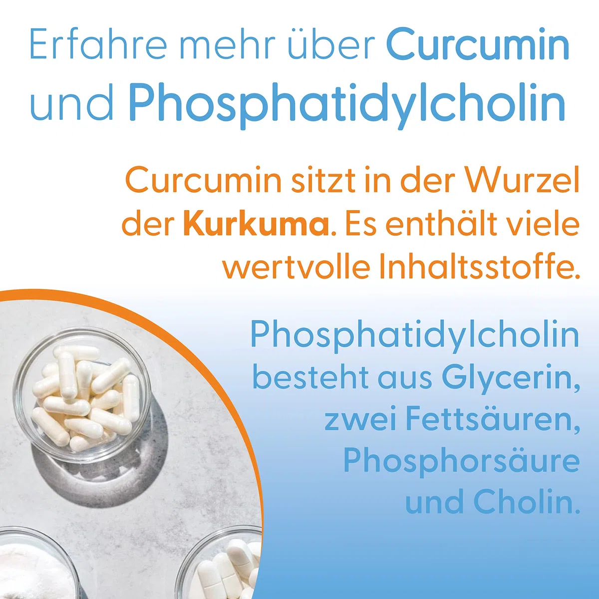Doctor's Best, Curcumine Phytosome mit Meriva, 500mg, 60 vegane Kapseln, Laborgeprüft, Glutenfrei, Sojafrei, Vegetarisch