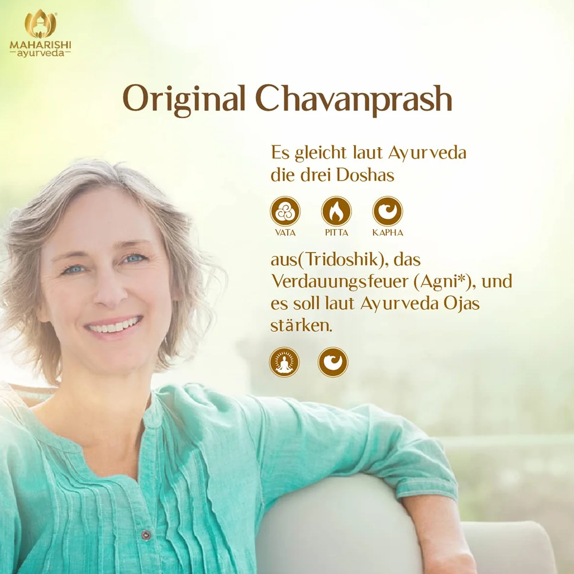 Maharishi Ayurveda Chyavanprash Amalaki (AMLA) Fruchtmus | 450 g Glas | 1er Pack
