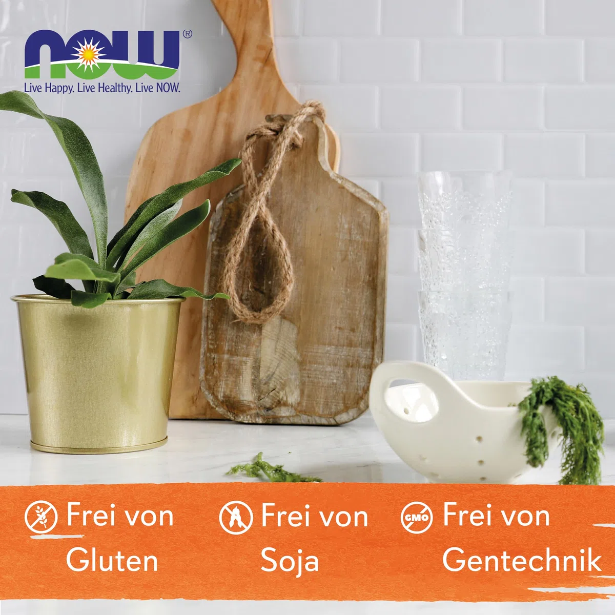 Now Foods, Aloe Vera Gels, hochkonzentriert, 250 Weichkapseln, Laborgeprüft, Glutenfrei, Sojafrei