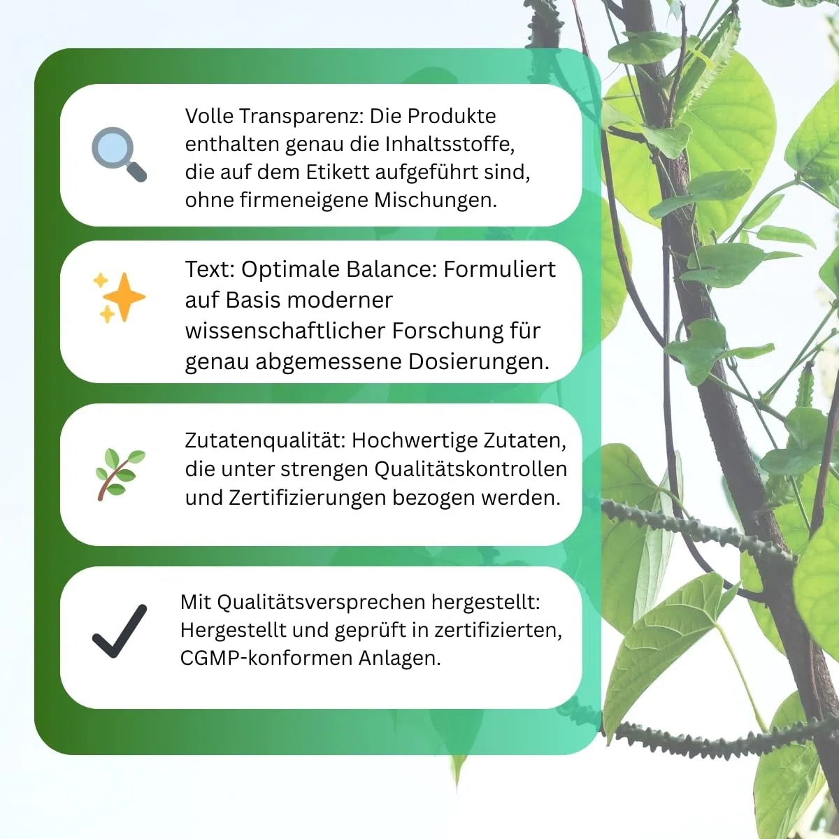 Bio Giloy Guduchi 500mg Extrakt | Natürliches Tinospora Cordifolia zur Immun-Unterstützung | Ayurvedisches Nahrungsergänzungsmittel | Vegan & Ohne Zusatzstoffe | 240 Kapseln