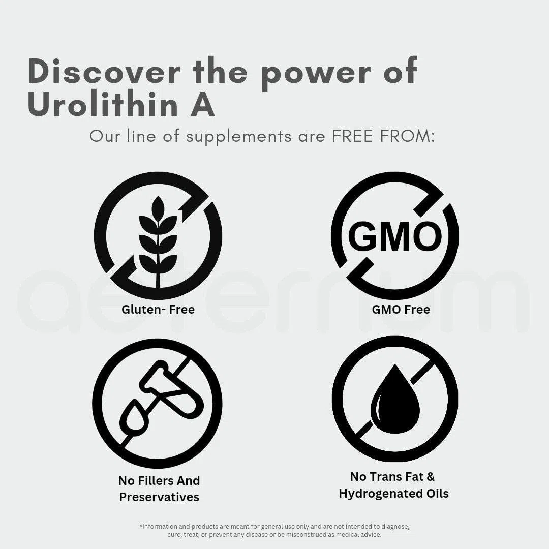 Aeternum Urolithin A - 180 Capsules - 1,000mg Serving Size