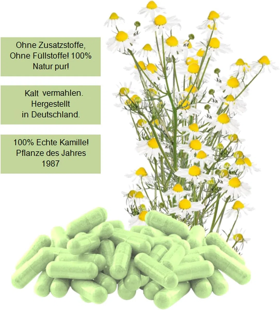 Echte KAMILLE Chamomilla Kamillenblüten 180 Kapseln - MAGEN & DARM - Adaptogen + Seelenkraut für ENTSPANNUNG. 100% NATUR PUR - OHNE ZUSATZSTOFFE. 27120-180