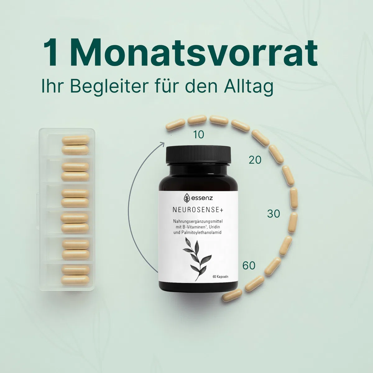 ESSENZ - Neurosense+ 60 Kapseln - Zur Unterstützung der normalen Zell- und Nervenfunktion. Natürliche Kapseln mit Folsäure sowie Vitamine B6 & B12. Made in Germany