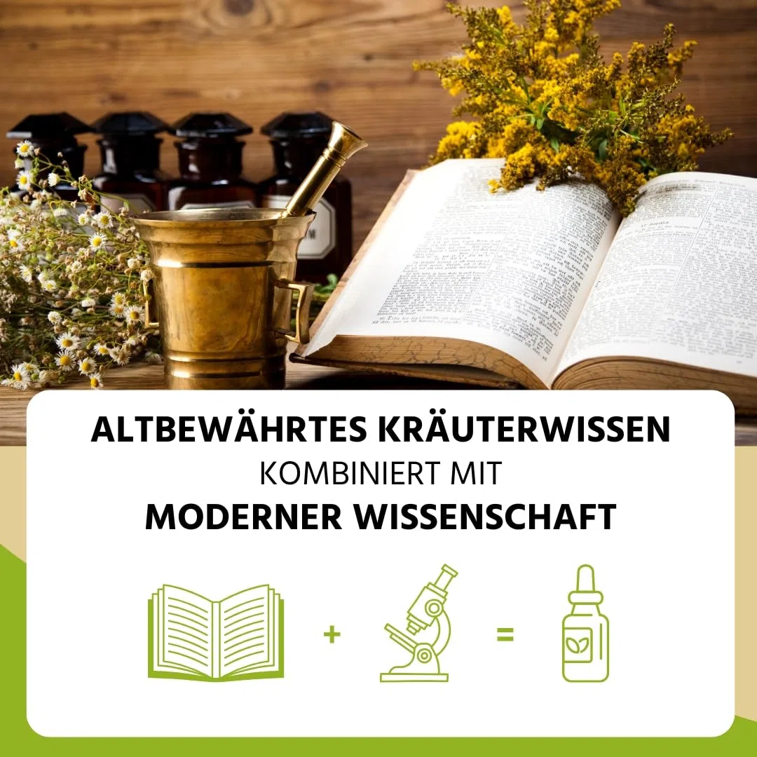 NEU! Auwald Mädesüß Blüten Tropfen BIO – Hochwertiger Auszug, Extrakt, Essenz & Tinktur – 100% BIO Landwirtschaft, Frei von künstlichen Zusätzen und Farbstoffen, Hergestellt in Österreich – 100ml