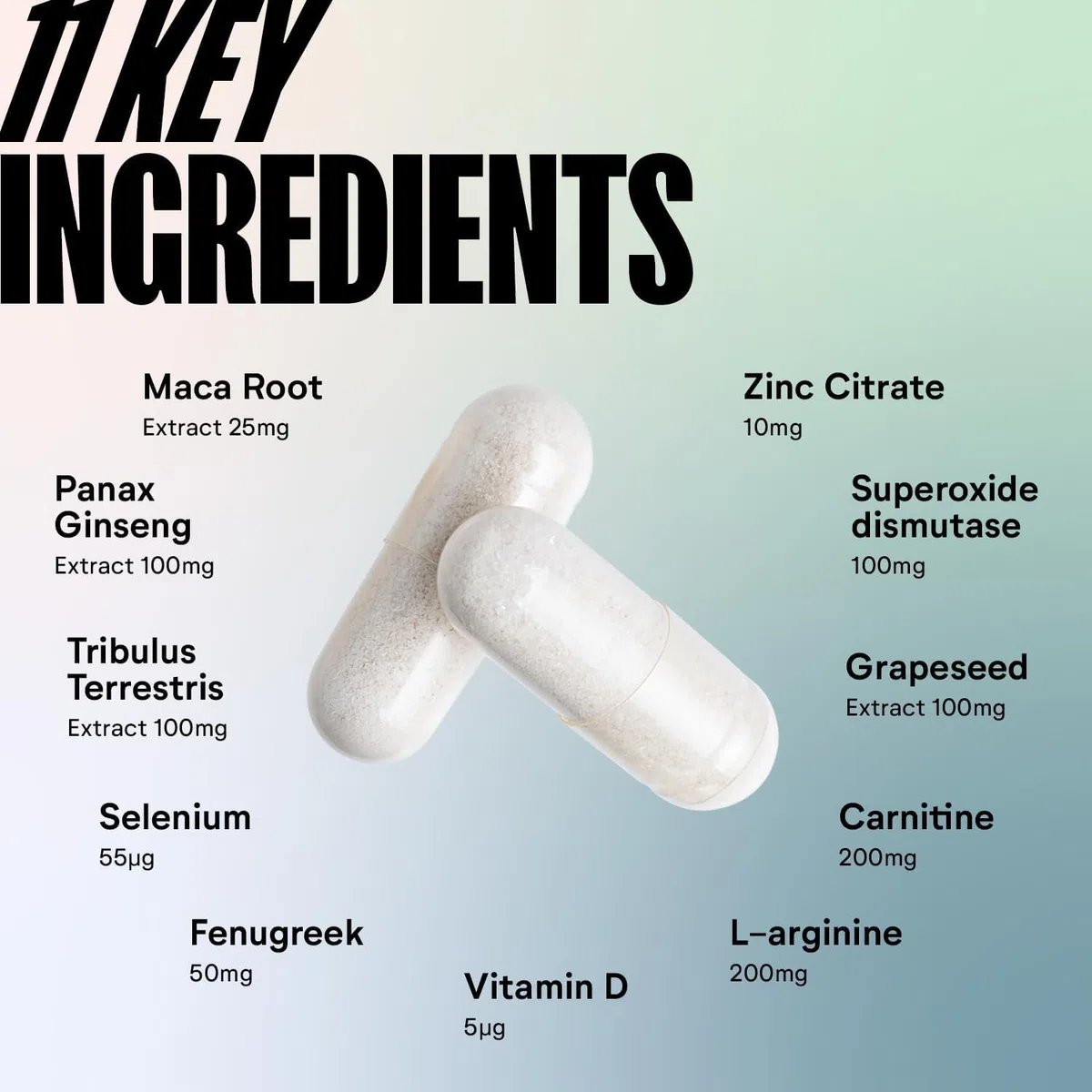 Numan Testosterone Pro Nahrungsergänzungsmittel Männer – T Complex, Tribulus Terrestris, Maca-Wurzel, Zink, Ginseng, Vitamine & Mineralien (120 Kapsel)
