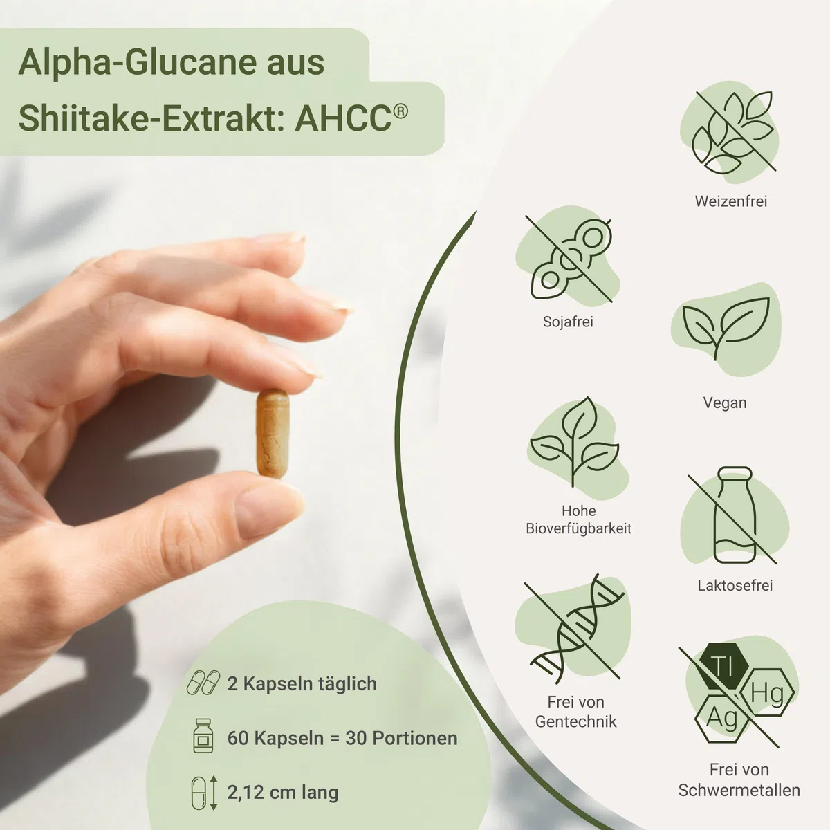 for you AHCC Kapseln 60 Stück – kultivierter Extrakt aus Shiitake Pilz mit Alpha-Glucanen | 1.000 mg pro Tagesdosis | fermentierter Pilzextrakt | Nahrungsergänzungsmittel